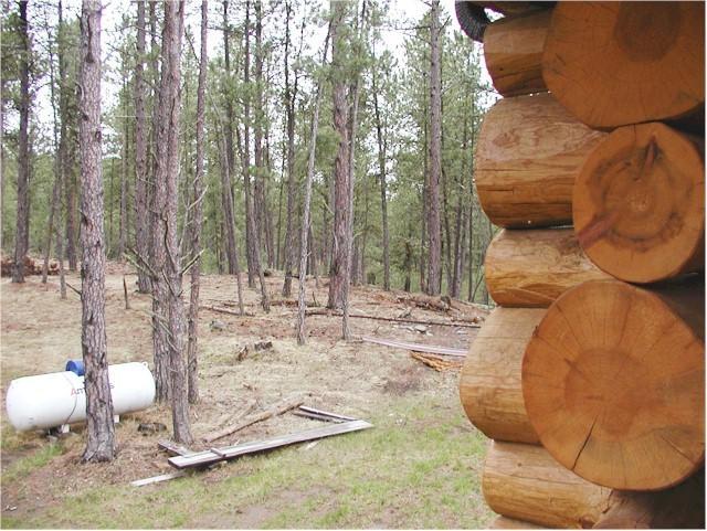 Trails End Lodge Custer Pokoj fotografie